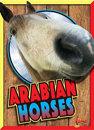 Arabian Horses (Horse Crazy)
