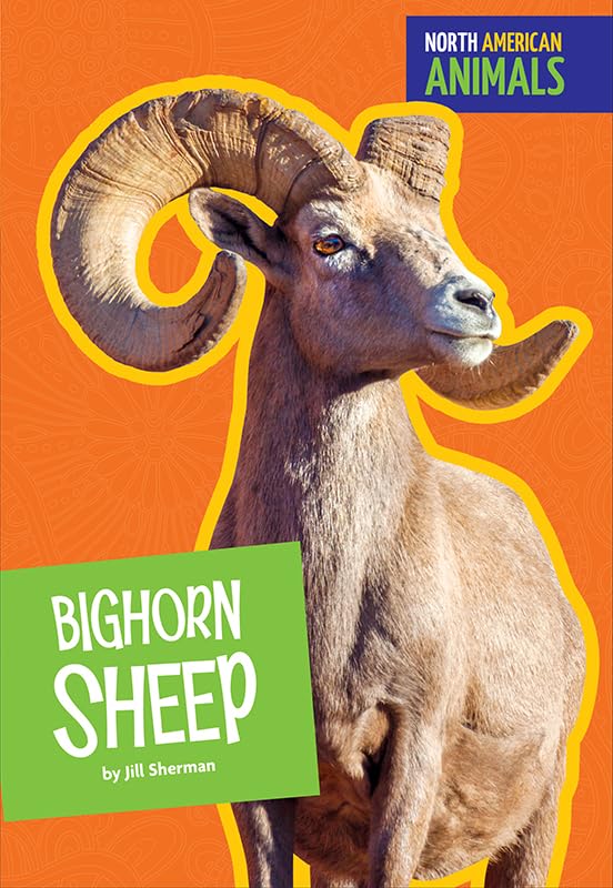Bighorn Sheep (North American Animals, Amicus High Interest)