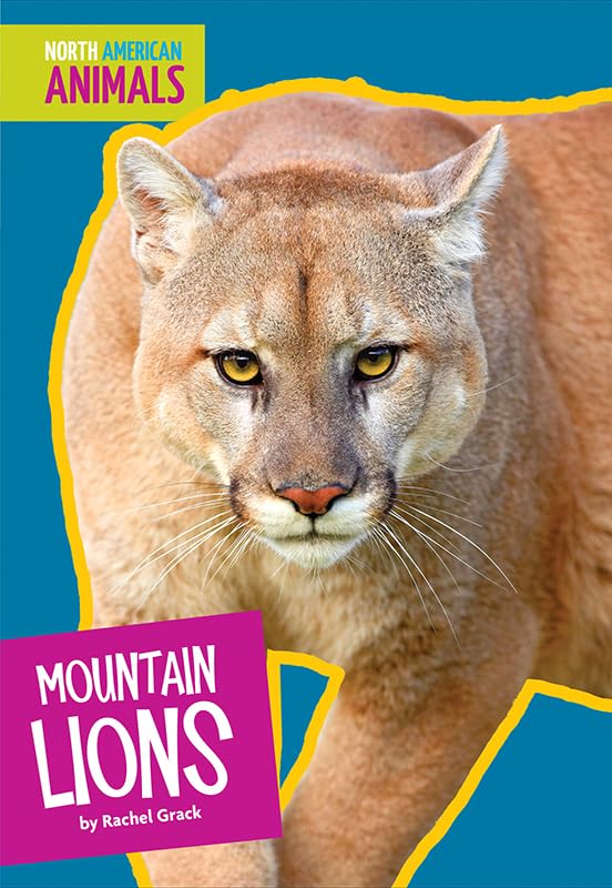 Mountain Lions (North American Animals)