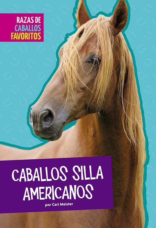 Caballos Silla Americanos (Razas De Caballos Favoritos)