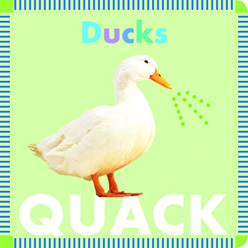 Ducks Quack