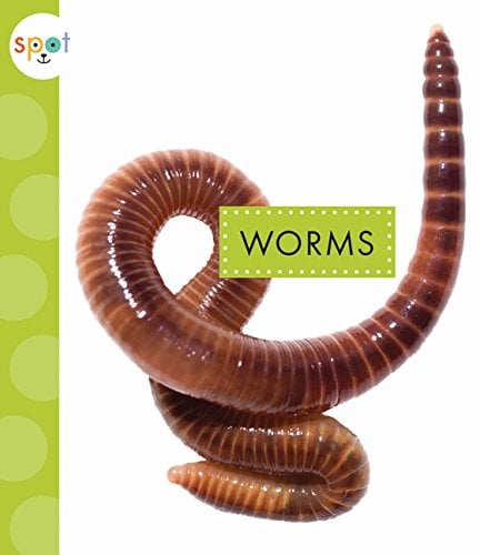 Worms (Spot Creepy Crawlies)