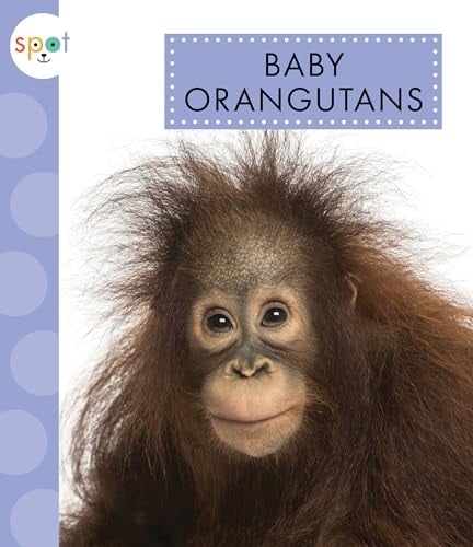 Baby Orangutans (Spot Baby Animals)