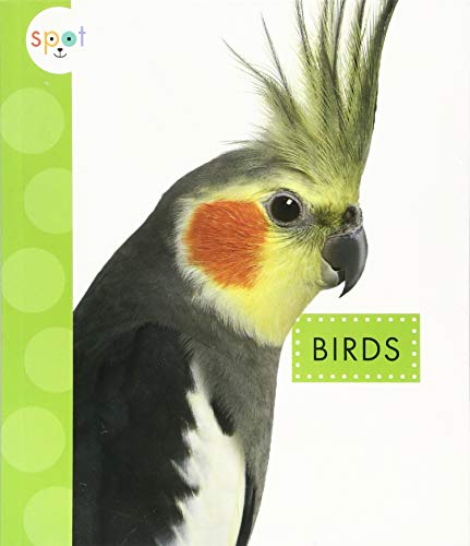 Birds (Spot Pets)
