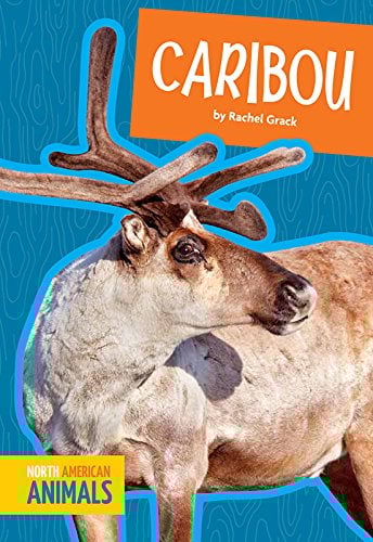 Caribou (North American Animals)