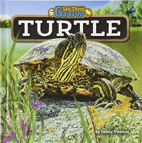Turtle (See Them Grow, Little Bites! Reader)