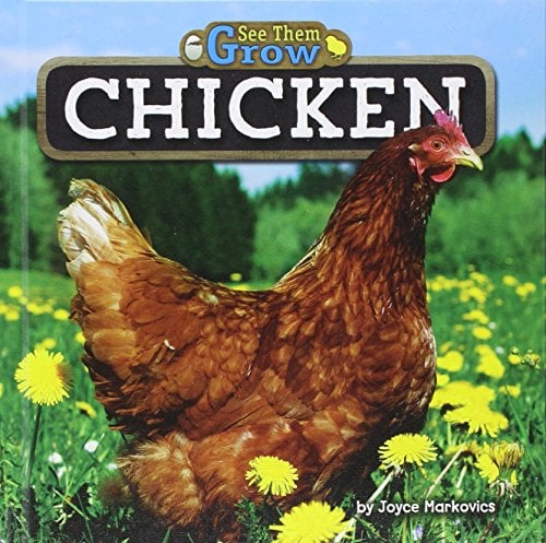 Chicken (See Them Grow, Little Bites! Reader)
