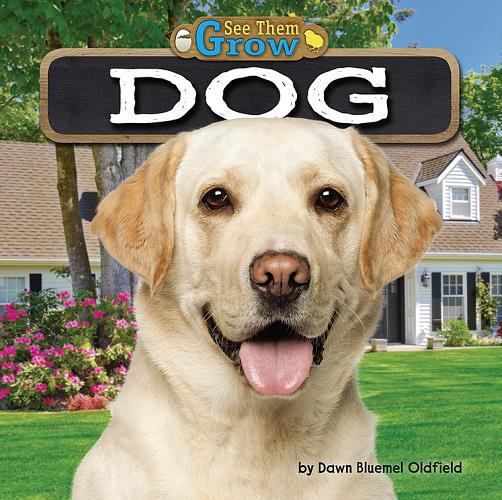 Dog (See Them Grow, Little Bites! Reader)