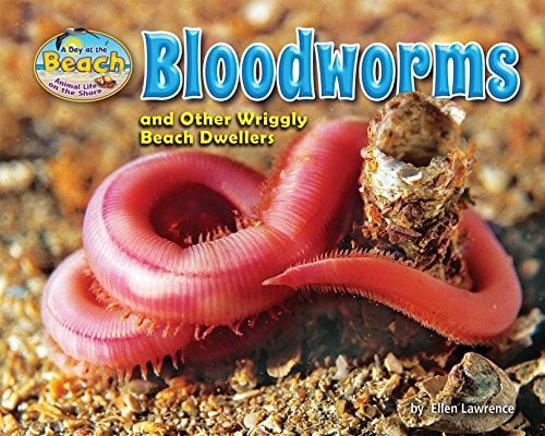 Bloodworms and Other Wriggly Beach Dwellers (Day at the Beach: Animal Life on the Shore)