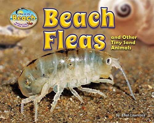 Beach Fleas and Other Tiny Sand Animals (Day at the Beach: Animal Life on the Shore)