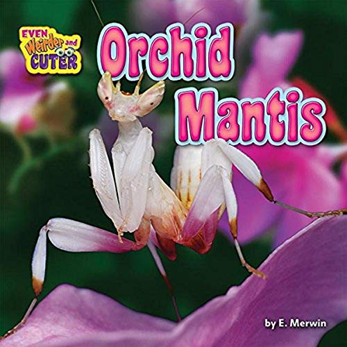 Orchid Mantis (Even Weirder and Cuter, Little Bits! Readers)