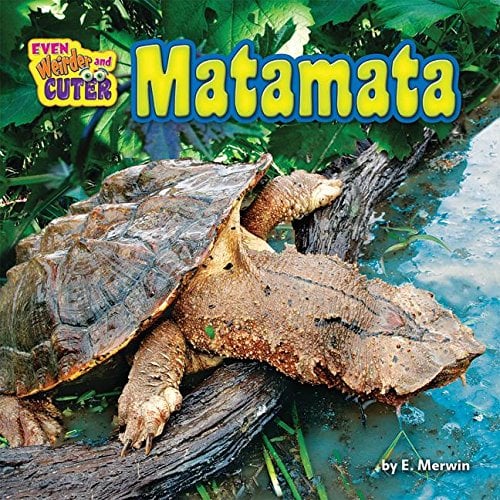Matamata (Even Weirder and Cuter, Little Bits! Readers)