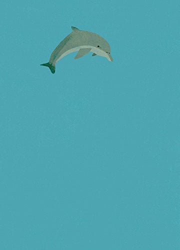 Dolphin Journal (Thunder Bay Journals)