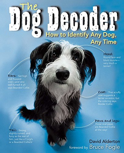 The Dog Decoder: How to Identify any Dog, any Time