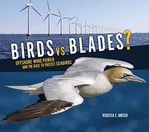 Birds vs. Blades? Offshore Wind Power and the Race to Protect Seabirds