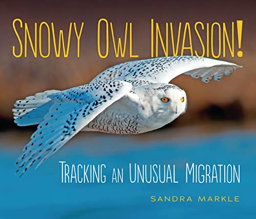 Snowy Owl Invasion! Tracking an Unusual Migration (Sandra Markle's Science Discoveries)