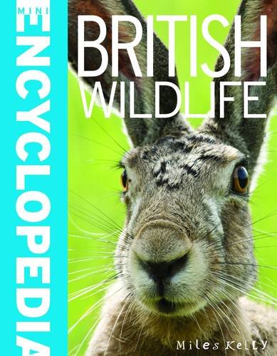 British Wildlife (Mini Encyclopedia)
