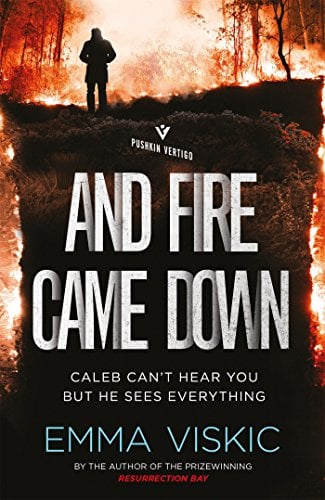 And Fire Came Down (Pushkin Vertigo)