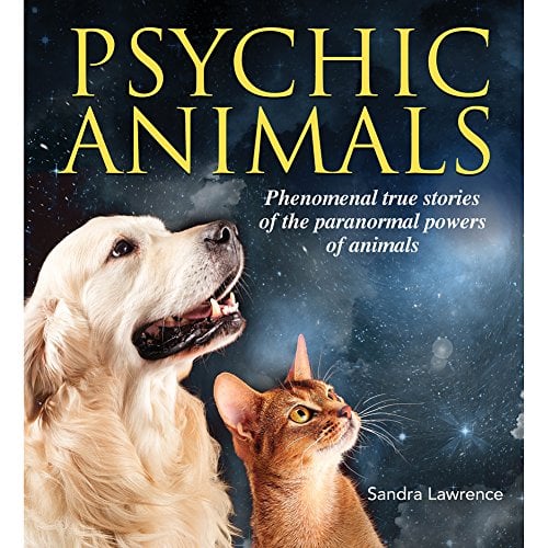 Psychic Animals: Superstition, Science, and Extraordinary Tales