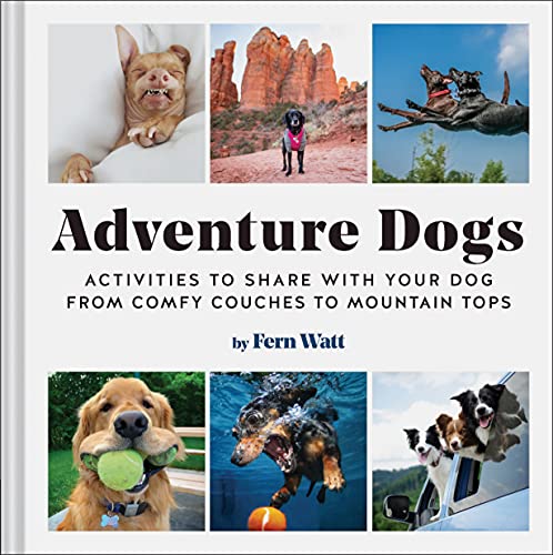 Adventure Dogs: Activities to Share With Your Dog: From Comfy Couches to Mountain Tops