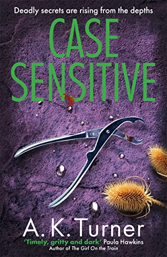 Case Sensitive (Cassie Raven Series, Bk. 3)