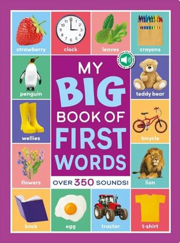 My Big Book of First Words