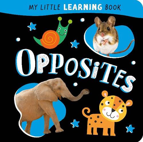 Opposites (My Little Learning Book)