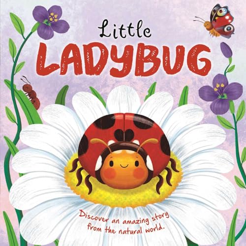 Little Ladybug