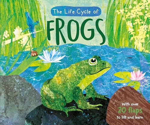 The Lifecycle of Frogs (Life Cycles)