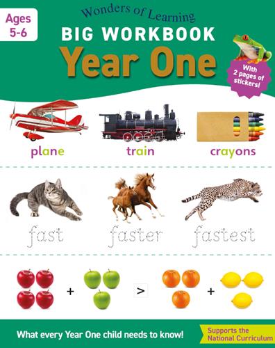 Big Workbook: Year One (Wonders of Learning)