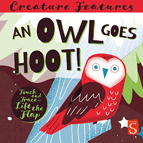 An Owl Goes Hoot! Touch & Trace & Lift-the-Flap Book (Creature Features)