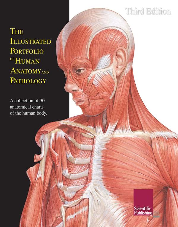 The Illustrated Portfolio of Human Anatomy and Pathology (3rd Edition)
