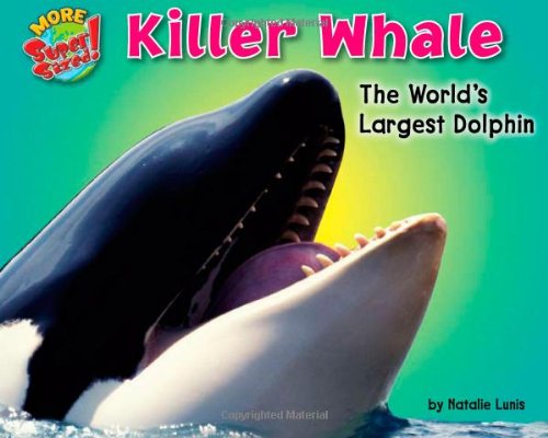 Killer Whale: The World's Largest Dolphin (More Supersized!)