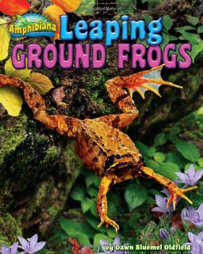 Leaping Ground Frogs (Amphibiana)