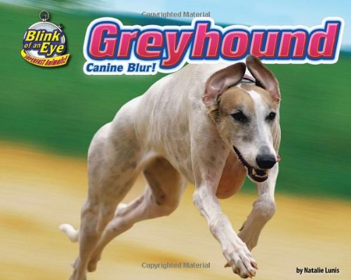 Greyhound: Canine Blur! (Blink of an Eye: Superfast Animals)