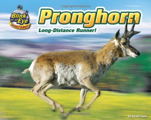 Pronghorn: Long-Distance Runner! (Blink of an Eye: Superfast Animals)