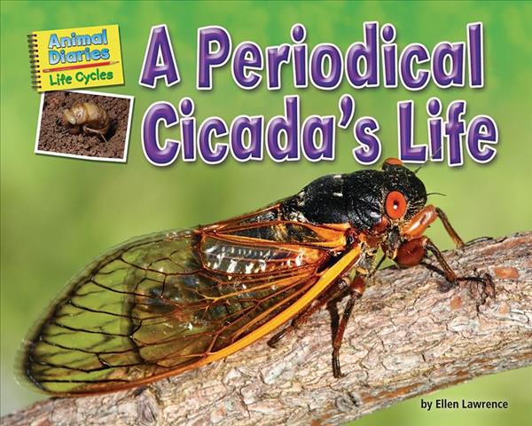 A Periodical Cicada's Life (Animal Diaries: Life Cycles)