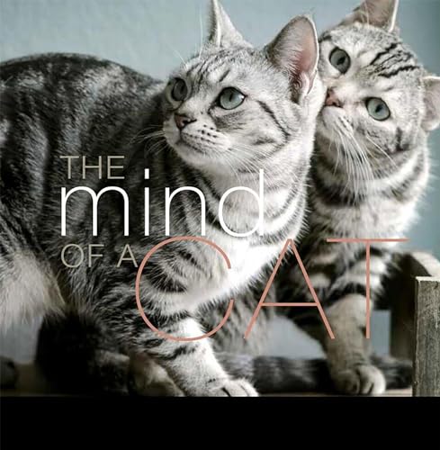 The Mind of a Cat