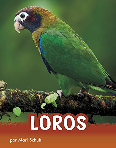 Loros (Animals)