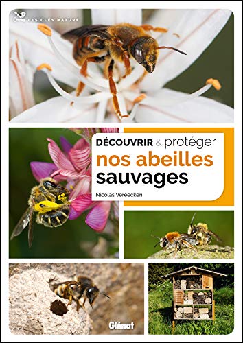 Découvrir Et Protéger Nos Abeilles Sauvages